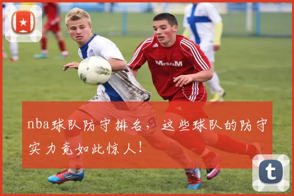 nba球队防守排名,这些球队的防守实力竟如此惊人!