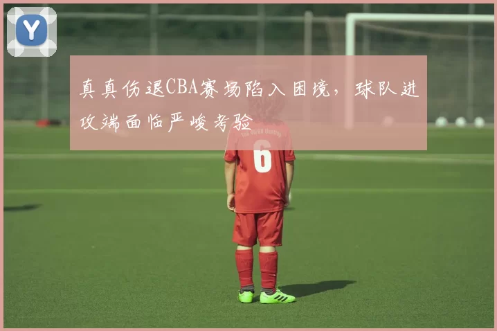 真真伤退CBA赛场陷入困境,球队进攻端面临严峻考验