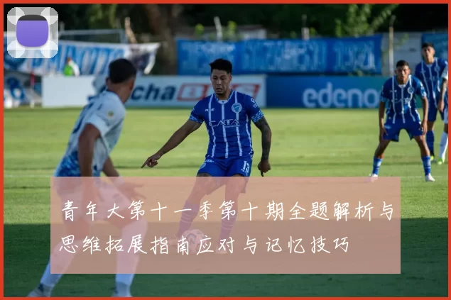青年大第十一季第十期全题解析与思维拓展指南应对与记忆技巧
