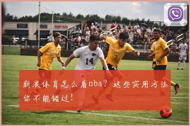 新浪体育怎么看nba？这些实用方法你不能错过！