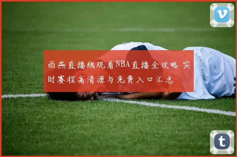 雨燕直播线观看NBA直播全攻略 实时赛程高清源与免费入口汇总